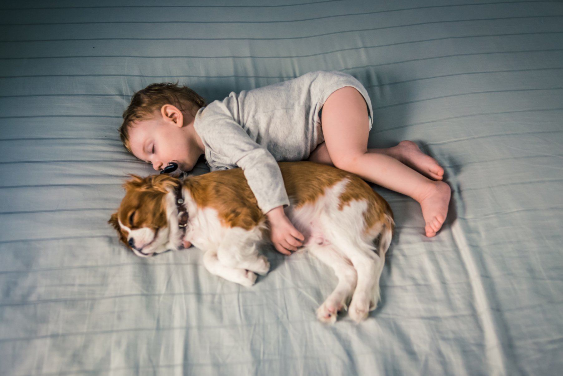 two baby friends having a nap